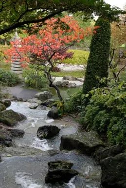 Trusted yard maintenance in Mohnton, PA by Golden Oaks Landscaping