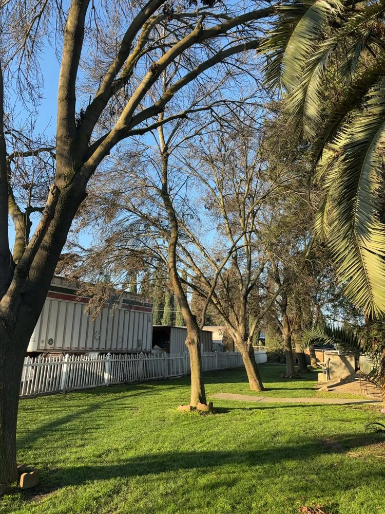 Trusted lawn mowing service experts serving Tulare, CA - Golden Oaks Lawn Care