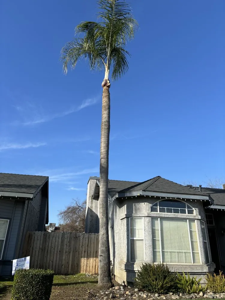 Top-rated landscape installation experts serving Tulare, CA - Golden Oaks Lawn Care