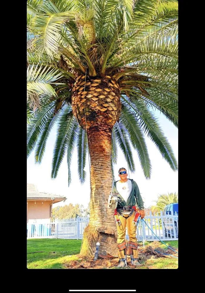 Reliable landscaping services for year-round maintenance in Tulare, CA by Golden Oaks Lawn Care