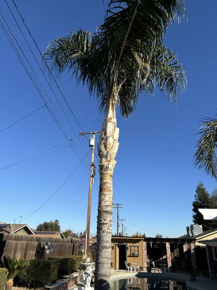 Expert lawn mowing service in Tulare, CA by Golden Oaks Lawn Care