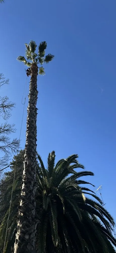 Professional yard maintenance in Tulare, CA - Golden Oaks Lawn Care