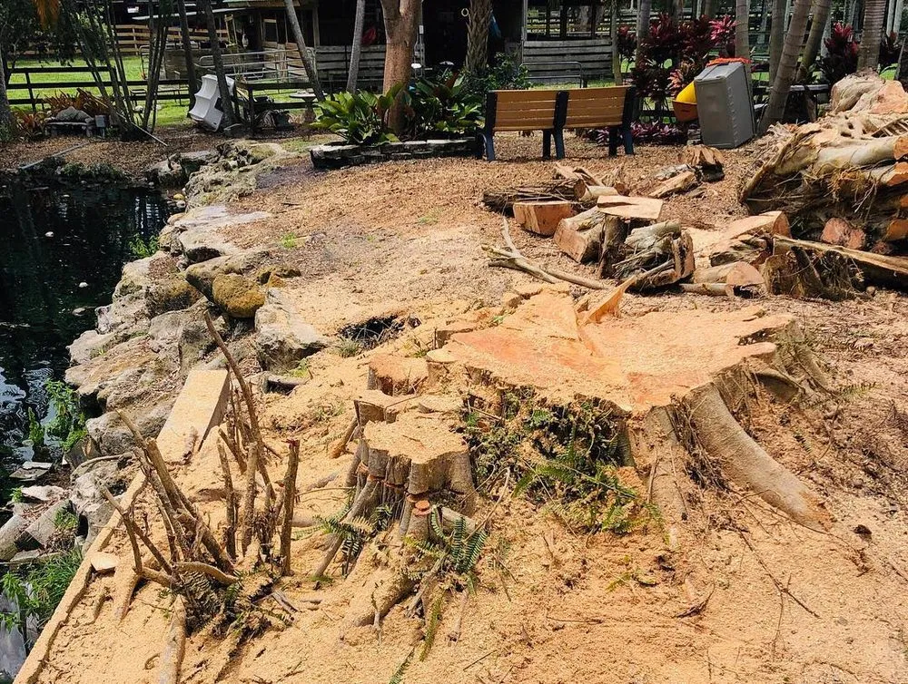 Local residential landscaping in Miami, FL by Golden Palm Landscape and Tree Service