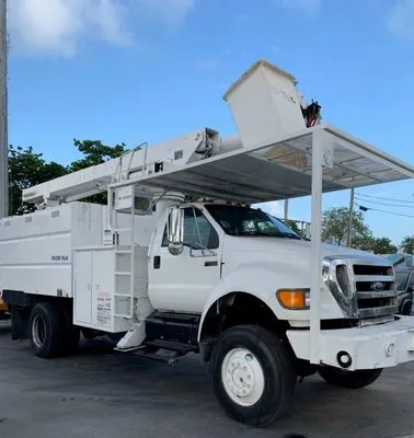 Golden Palm Landscape and Tree Service Logo