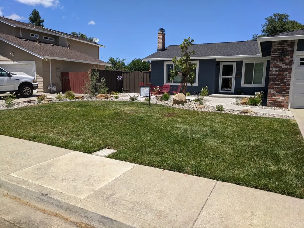 Expert yard cleanup service experts serving Danville, CA - Golden Palm Landscape