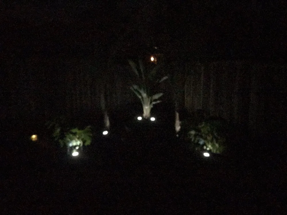 Reliable landscaping services for residential properties in Danville, CA by Golden Palm Landscape