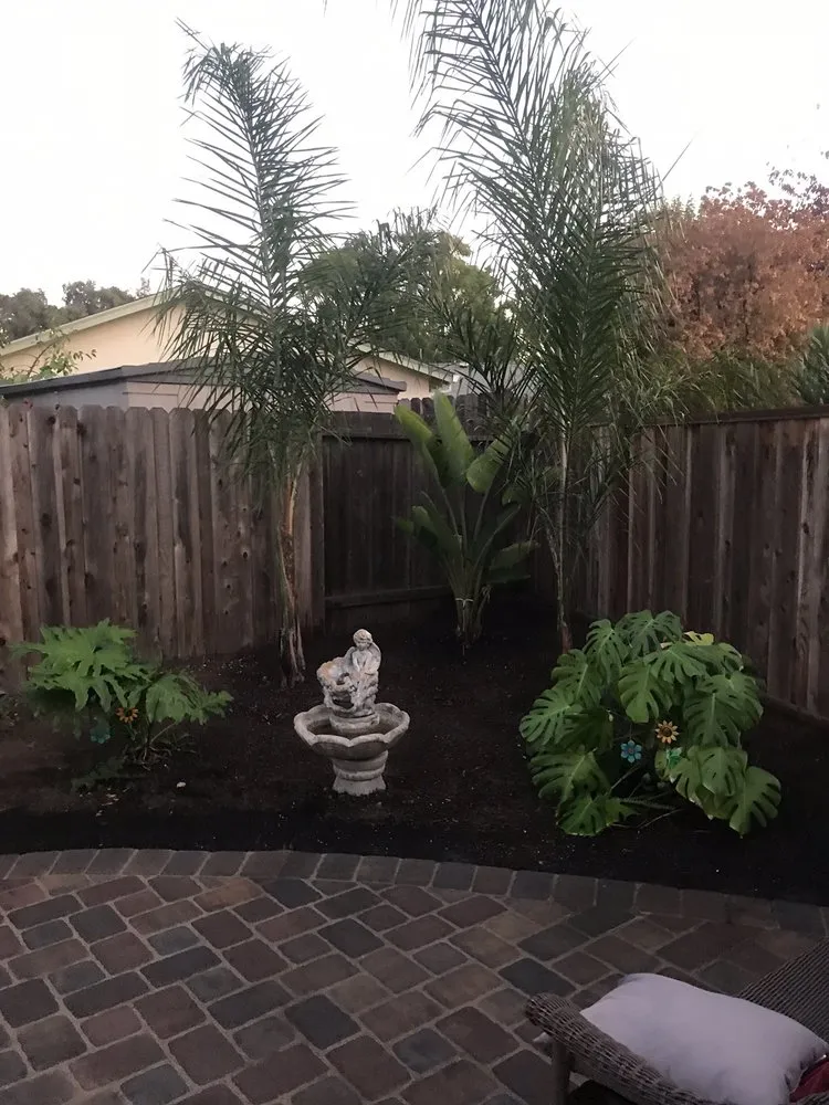 Professional garden landscaping in Danville, CA - Golden Palm Landscape