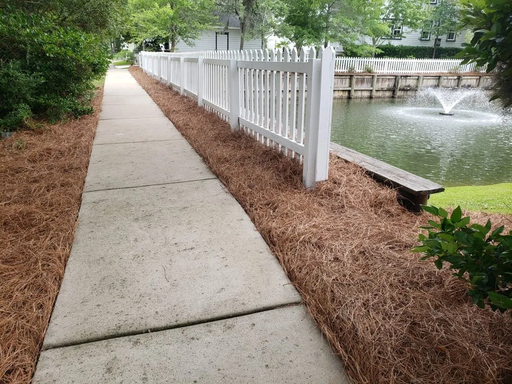 Affordable outdoor landscaping for homes across Ladson, SC - Golden Pine Straw