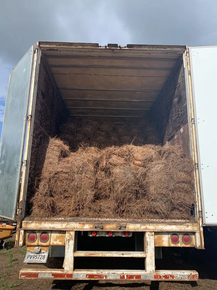 Local lawn mowing service for beautiful yards in Ladson, SC by Golden Pine Straw