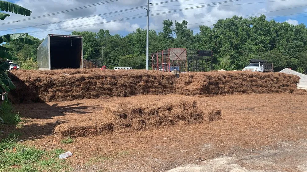 Trusted residential landscaping for residential properties in Ladson, SC by Golden Pine Straw