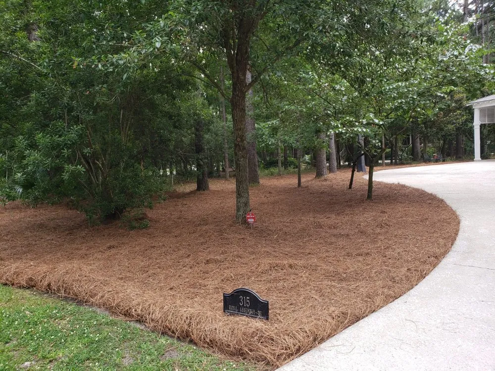 Custom lawn care service in Ladson, SC by Golden Pine Straw