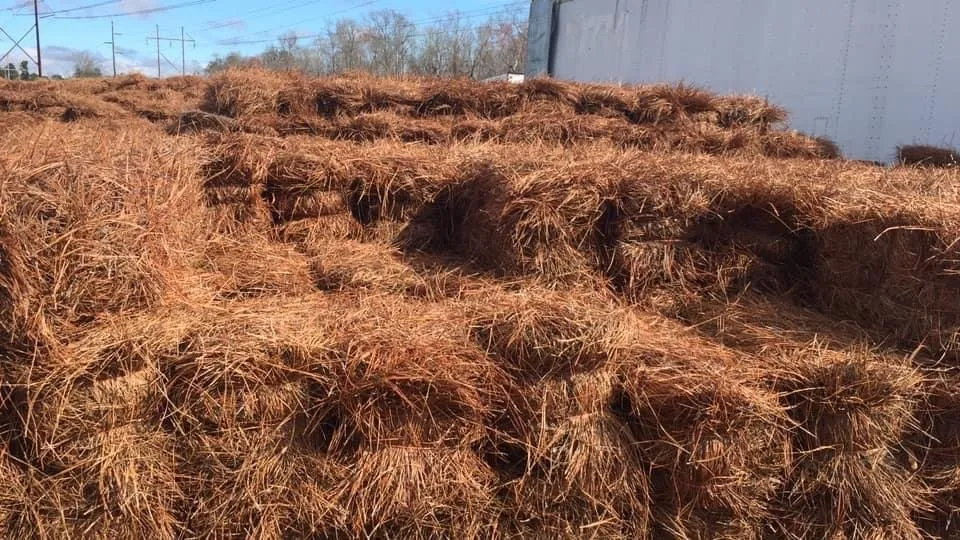 Reliable lawn mowing service in Ladson, SC - Golden Pine Straw