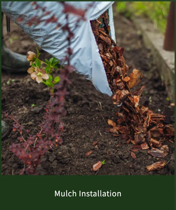 Trusted garden landscaping for year-round maintenance in Cumming, GA by Golden Pinestraw