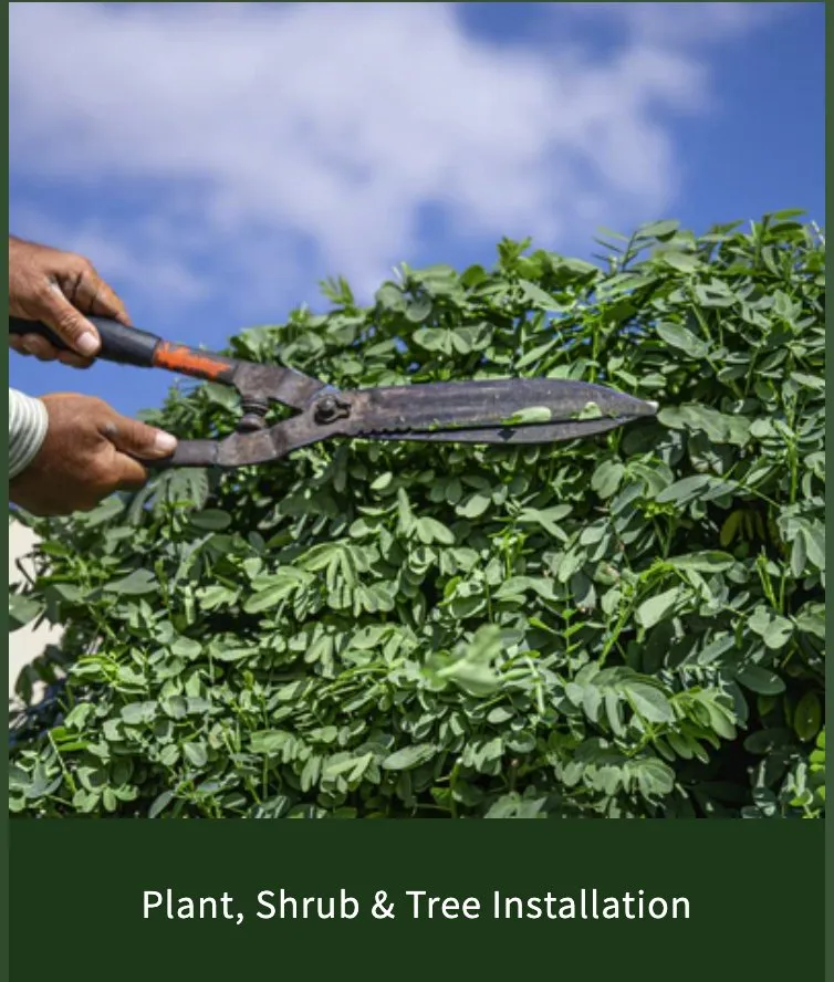 Top-rated lawn mowing service for residential properties across Cumming, GA - Golden Pinestraw