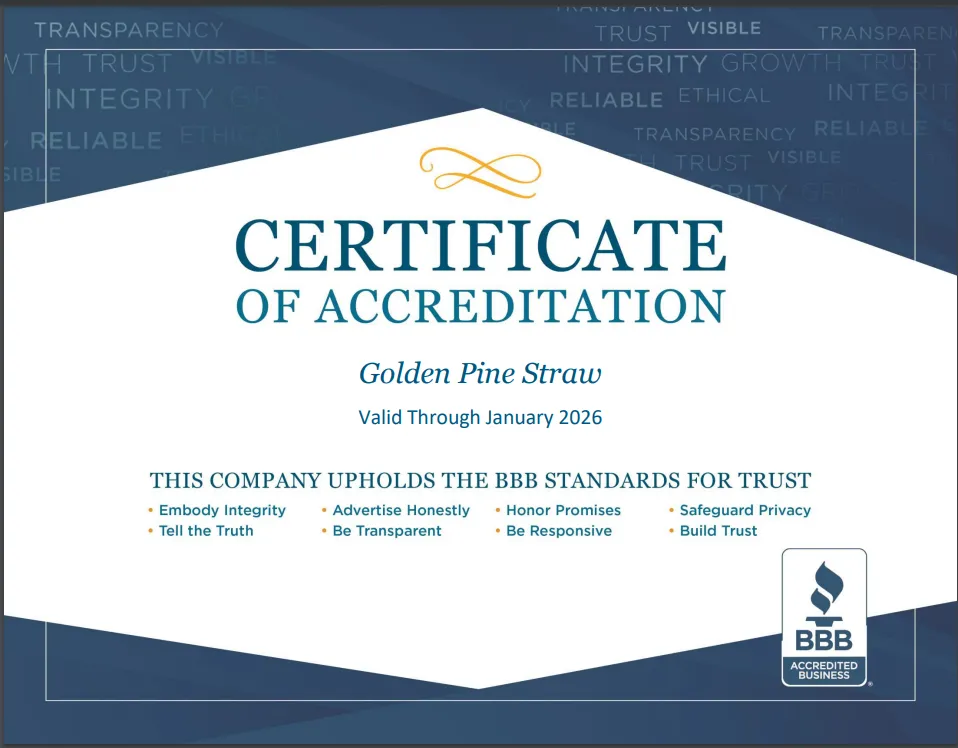 Top-rated yard cleanup service for outdoor upgrades in Cumming, GA by Golden Pinestraw