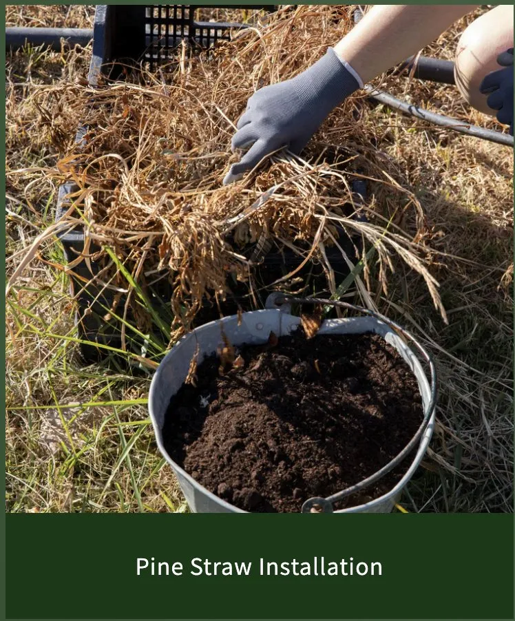 Professional garden landscaping experts serving Cumming, GA - Golden Pinestraw