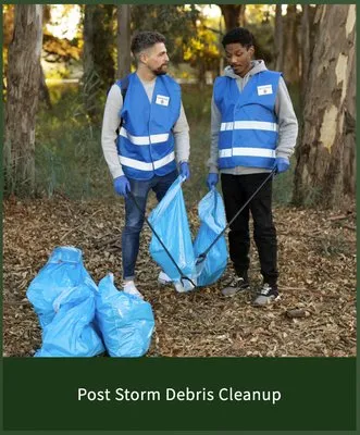 Golden Pinestraw Logo