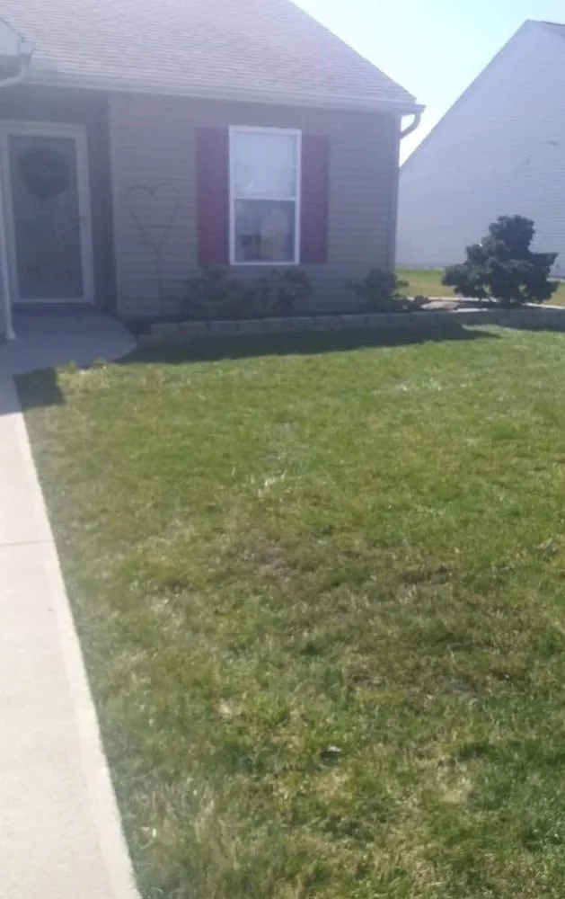 Custom yard cleanup service for year-round maintenance across Elyria, OH - Golden Pro Landscaping