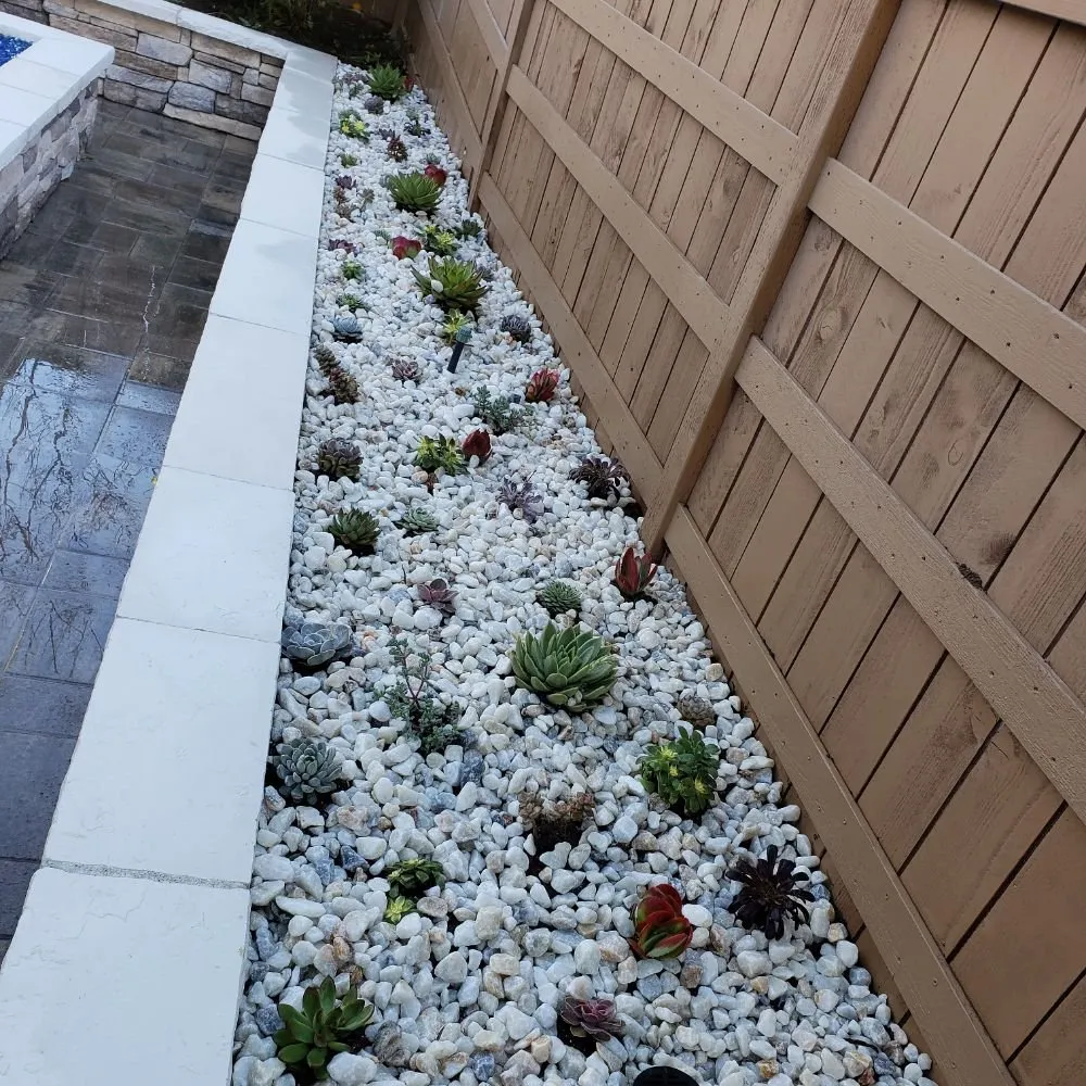 Affordable yard maintenance for beautiful yards in Orange, CA by Golden Ridge Landscape