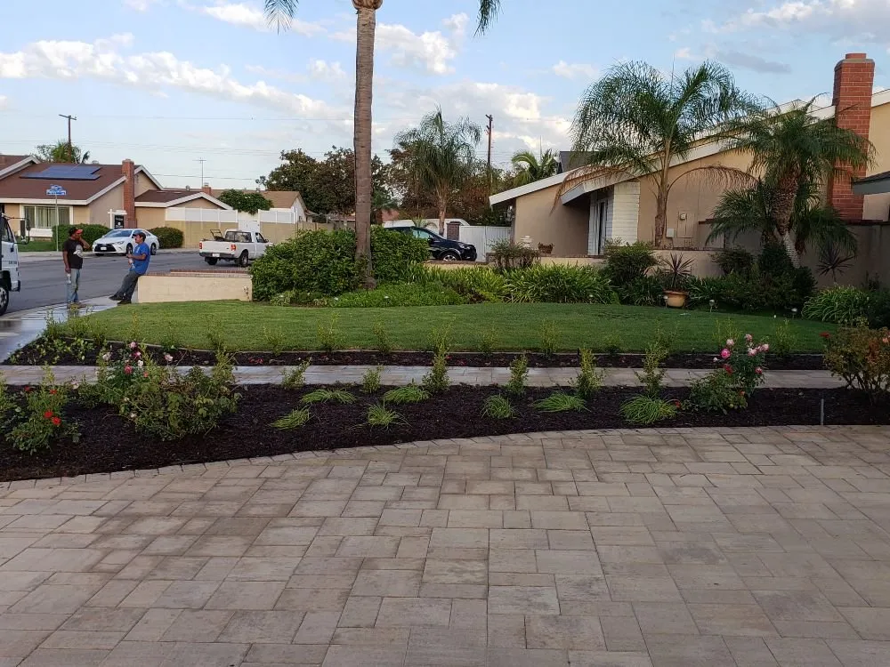 Reliable landscaping services in Orange, CA - Golden Ridge Landscape