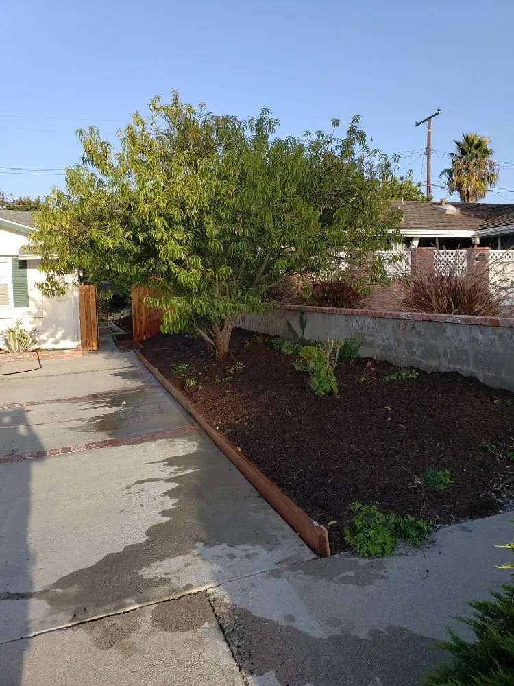 Local lawn care service in Orange, CA by Golden Ridge Landscape