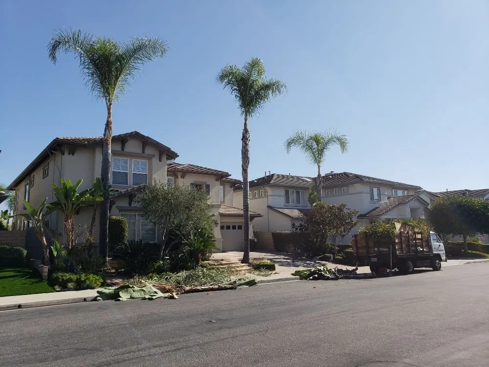 Professional lawn mowing service with custom design in Orange, CA by Golden Ridge Landscape