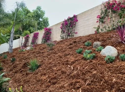 Reliable landscaping services for beautiful yards in El Cajon, CA by Golden Roots Landscape & Design