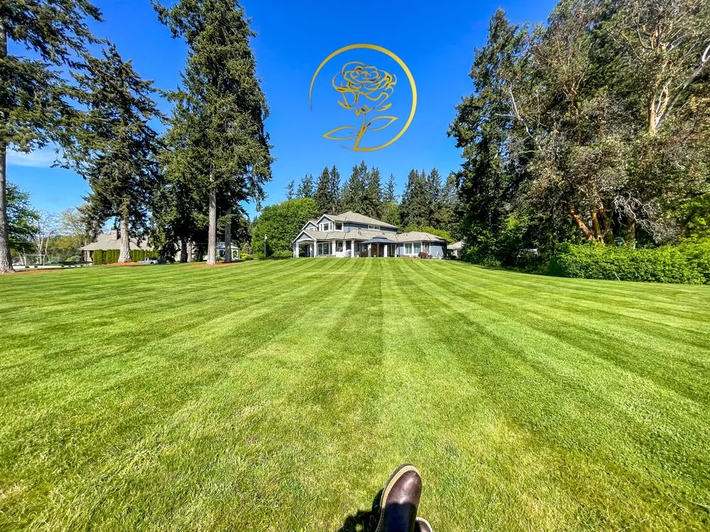 Top-rated landscape design in Belfair, WA - Golden Rose Landscaping