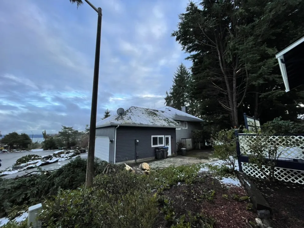 Reliable yard maintenance experts serving Belfair, WA - Golden Rose Landscaping