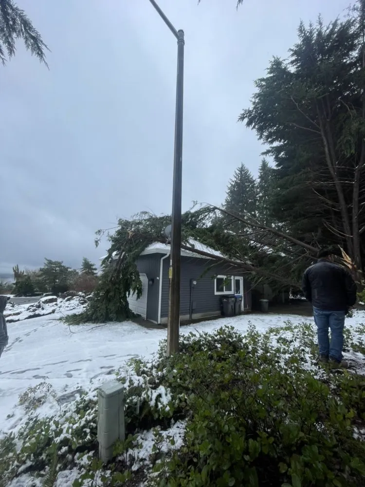 Top-rated landscaping services for beautiful yards across Belfair, WA - Golden Rose Landscaping