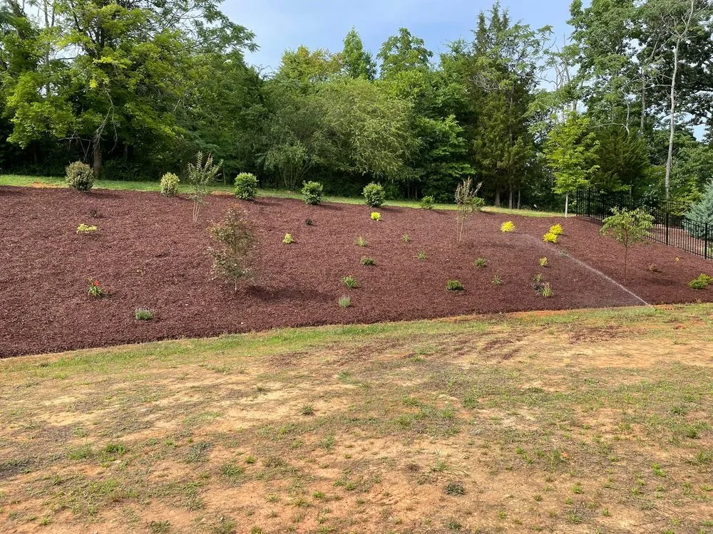 Top-rated landscaping services with custom design across Pineville, NC - Golden Rose Landscaping