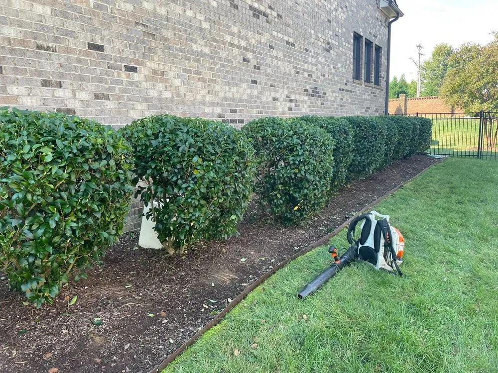 Local yard cleanup service with custom design across Pineville, NC - Golden Rose Landscaping