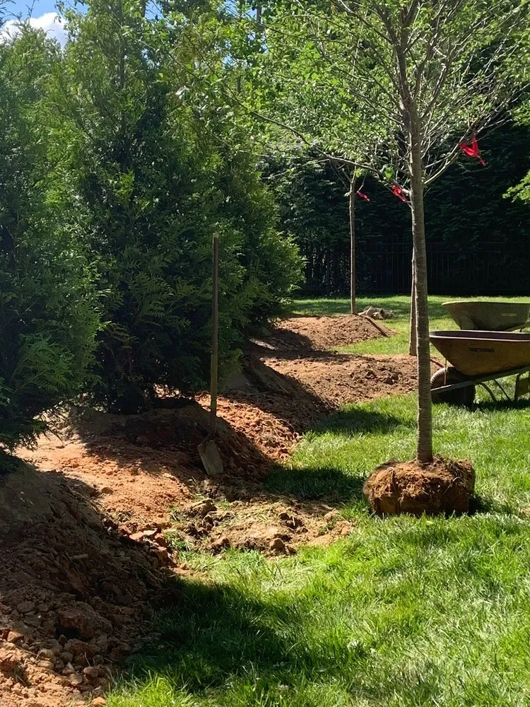 Affordable lawn mowing service for year-round maintenance across Pineville, NC - Golden Rose Landscaping