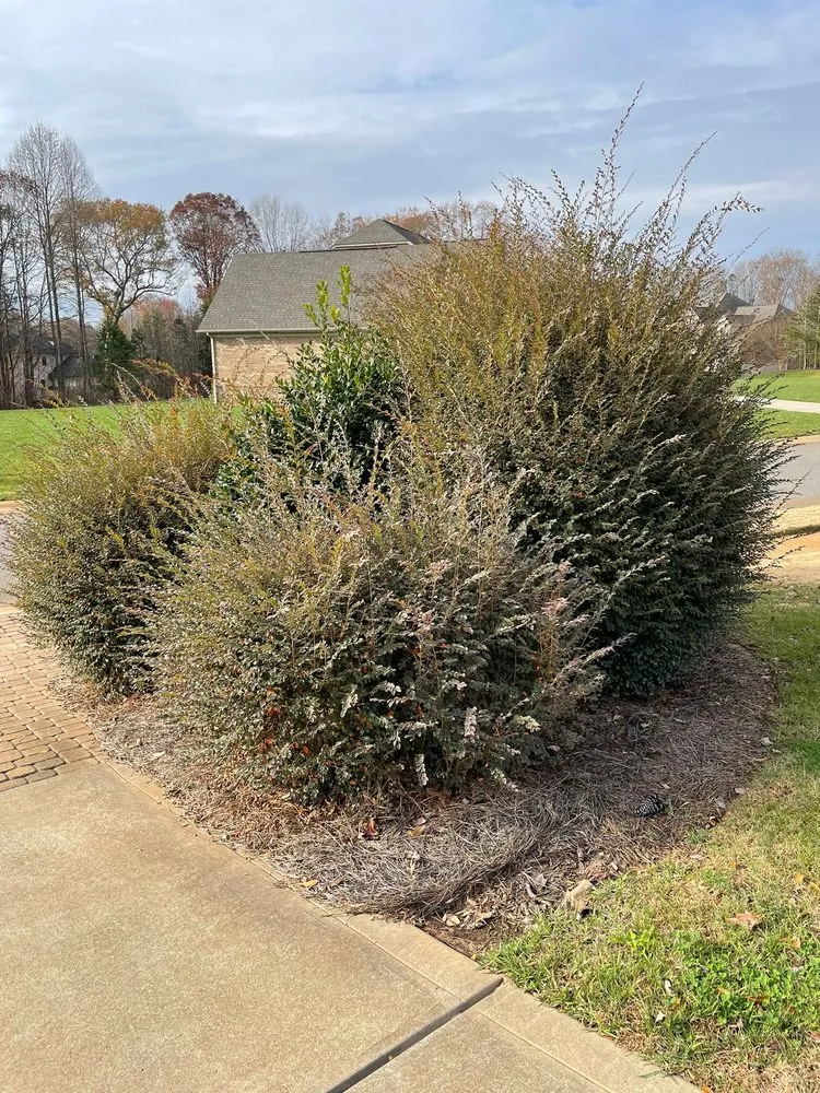 Affordable landscape design with custom design in Pineville, NC by Golden Rose Landscaping