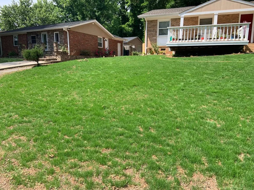 Top-rated landscape installation near you across Pineville, NC - Golden Rose Landscaping