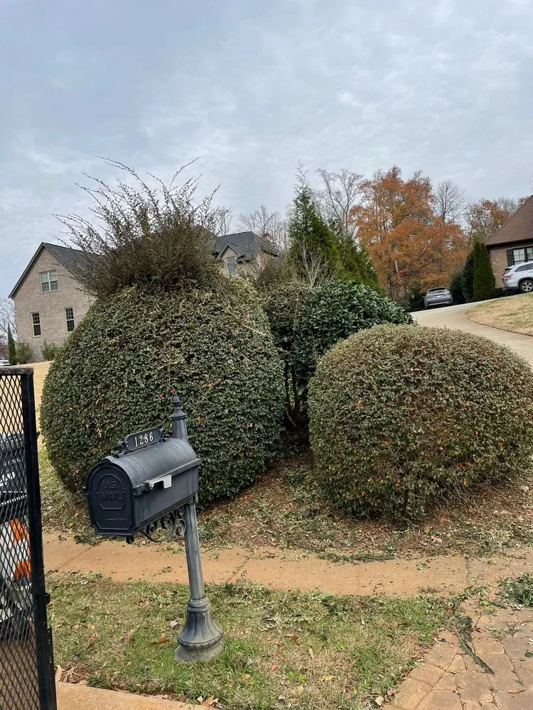 Affordable garden landscaping in Pineville, NC by Golden Rose Landscaping