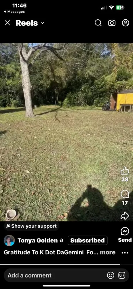 Trusted yard cleanup service near you in Fayetteville, NC by Golden Scapes Lawn Care