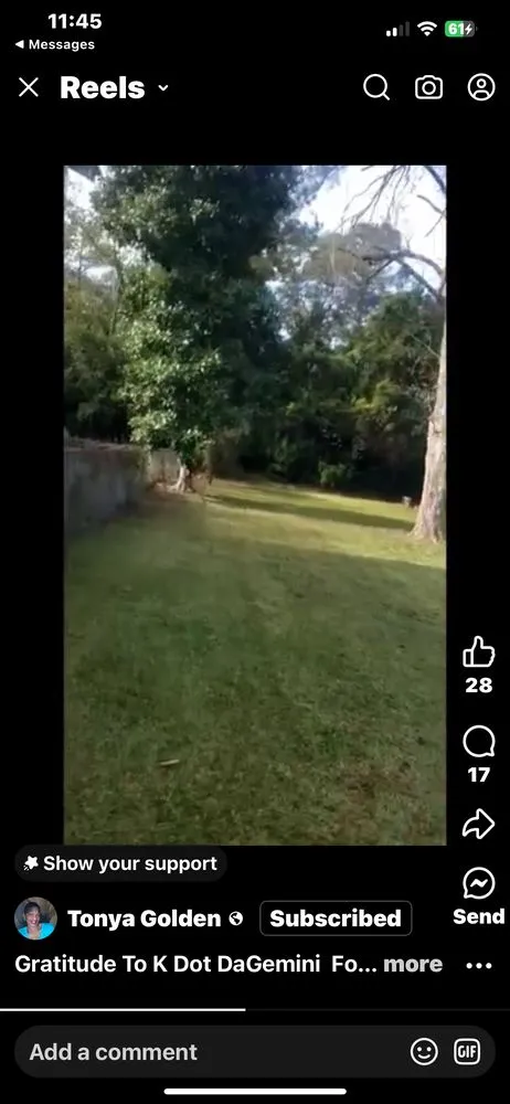 Professional yard cleanup service for outdoor upgrades across Fayetteville, NC - Golden Scapes Lawn Care