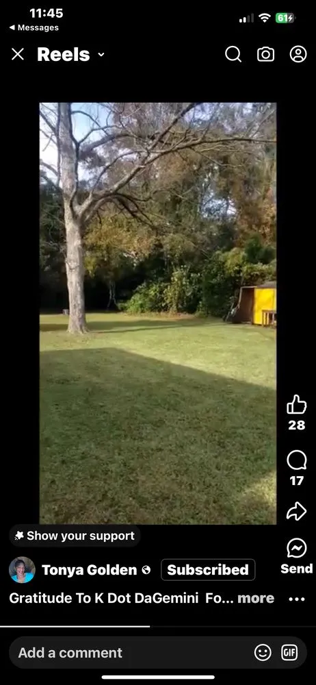 Reliable landscape installation in Fayetteville, NC by Golden Scapes Lawn Care