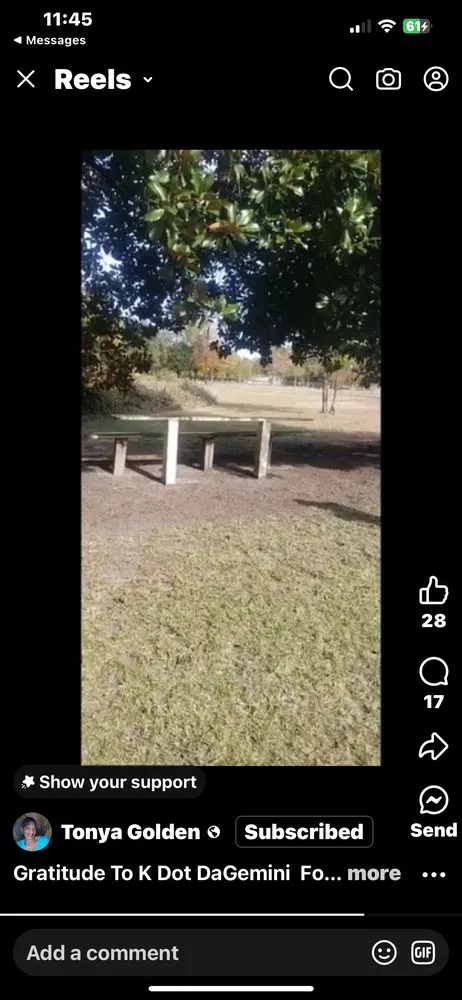 Reliable yard cleanup service for beautiful yards across Fayetteville, NC - Golden Scapes Lawn Care