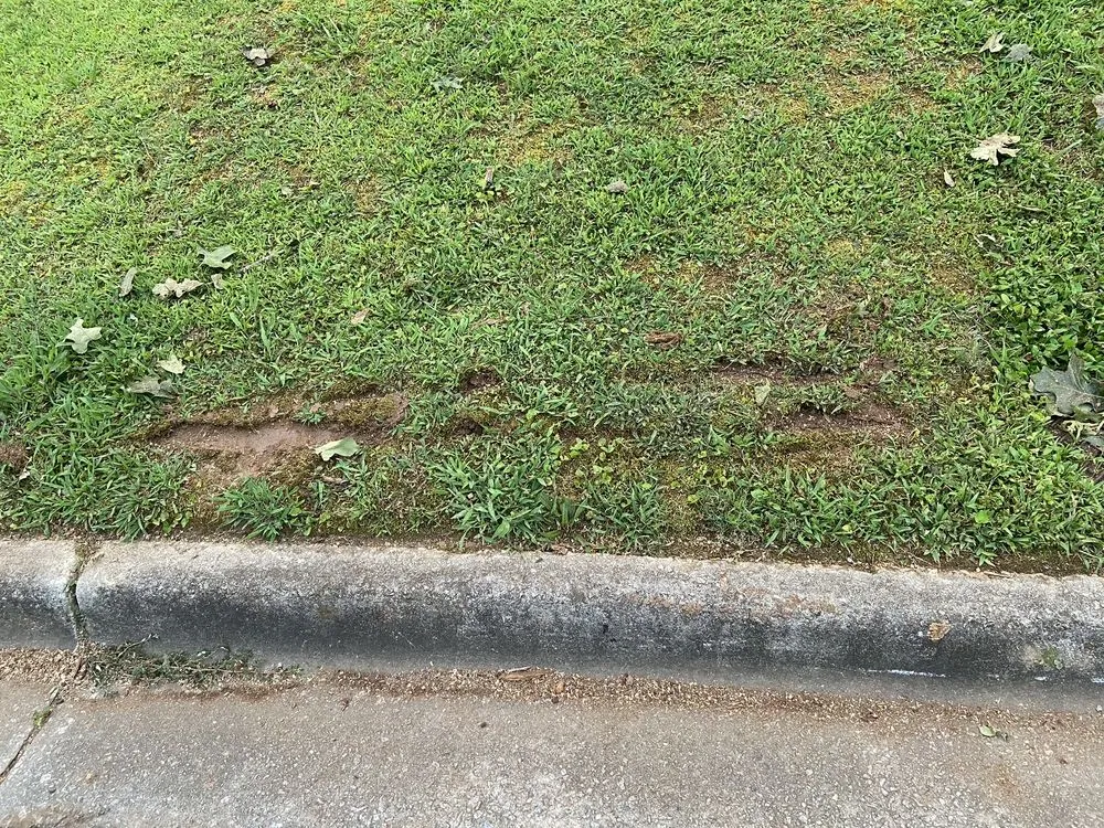 Trusted outdoor landscaping with custom design across Smyrna, GA - Golden Season Landscaping