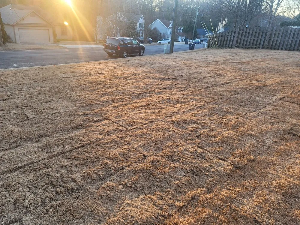 Top-rated landscape design experts serving Smyrna, GA - Golden Season Landscaping