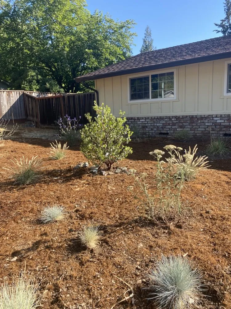 Expert lawn care service experts serving San Francisco, CA - Golden State Earthscaping