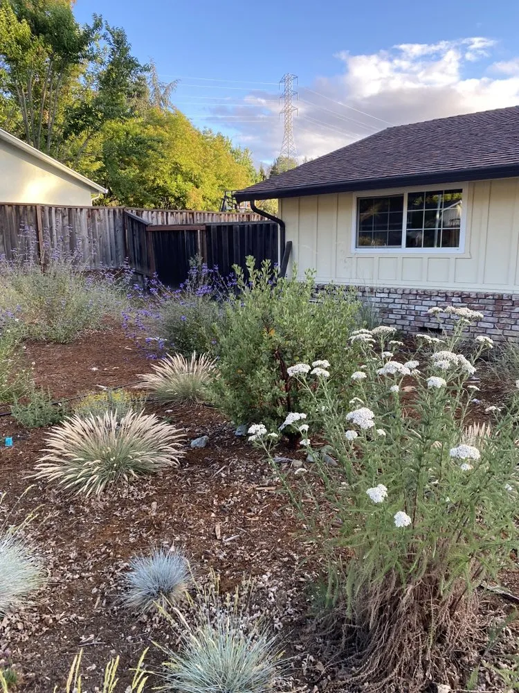 Local yard maintenance with custom design in San Francisco, CA by Golden State Earthscaping