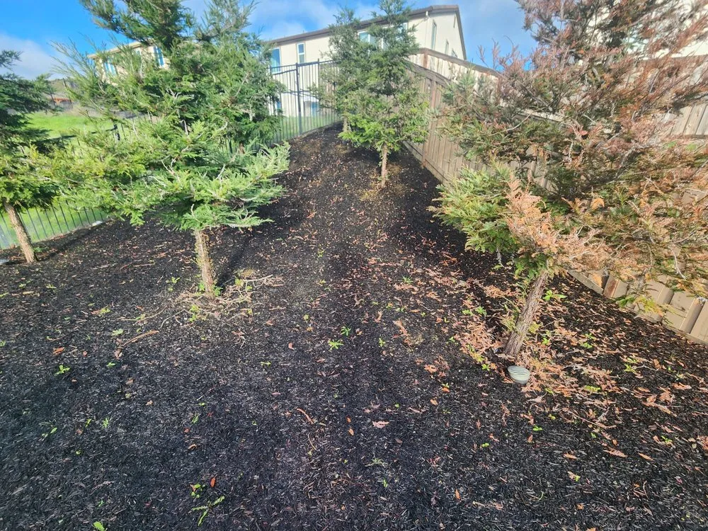 Reliable lawn mowing service in Pleasanton, CA - Golden State Landscaping