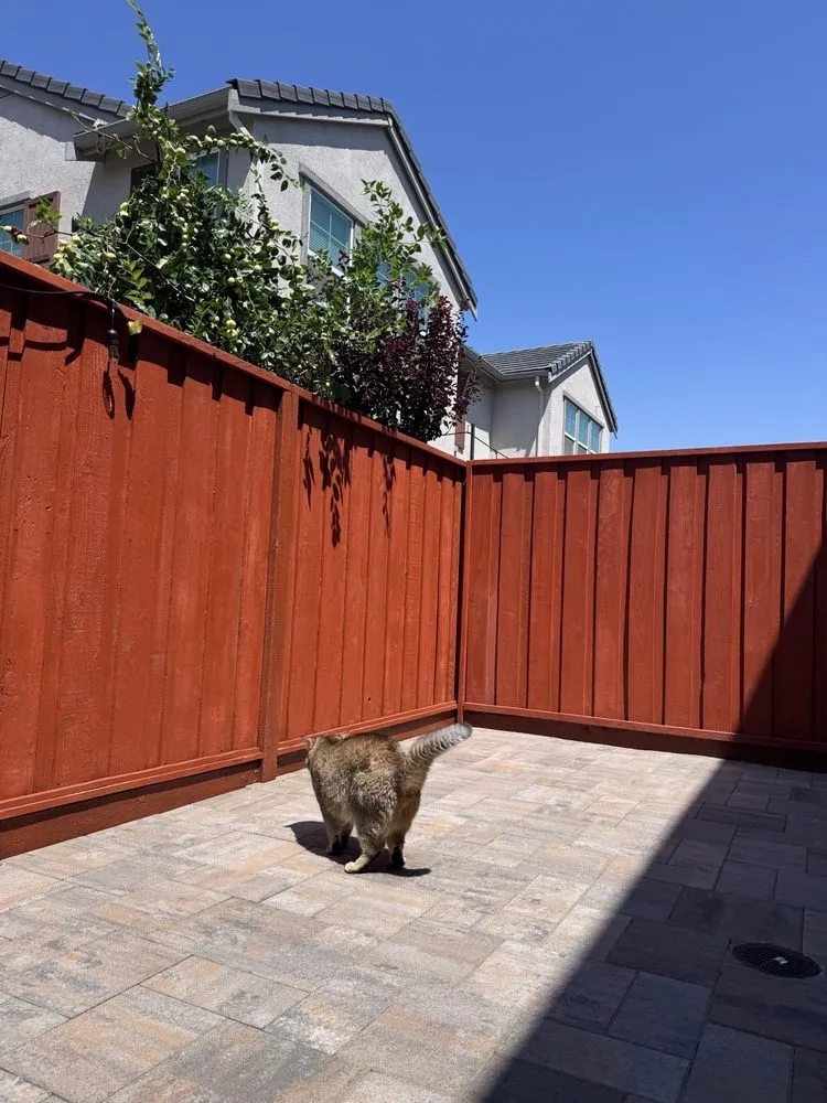 Expert lawn mowing service experts serving Pleasanton, CA - Golden State Landscaping