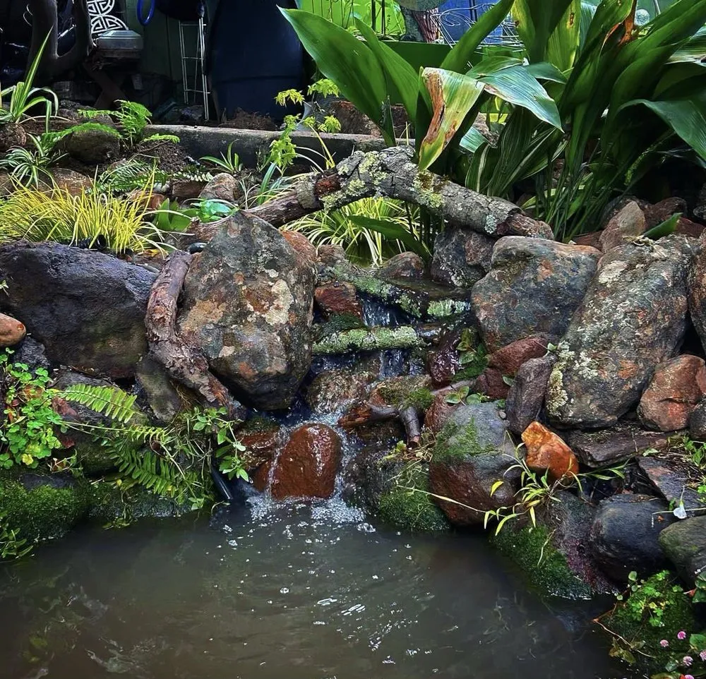 Top-rated landscaping services in Modesto, CA by Golden State Ponds