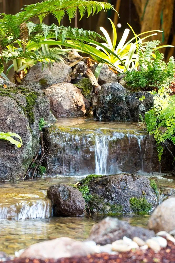 Reliable landscaping services experts serving Modesto, CA - Golden State Ponds