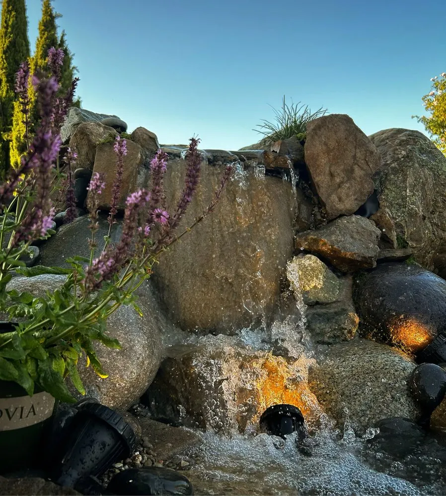 Top-rated landscaping services in Modesto, CA by Golden State Ponds