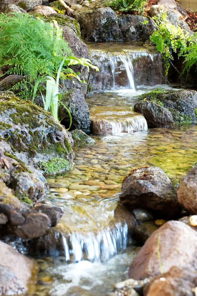 Top-rated lawn care service in Modesto, CA by Golden State Ponds